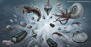 11 - Science - The Cambrian Explosion